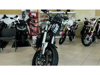 vendo voge trofeo 300acx scrambler (2021 - 26) nuova a isorella (codice 9733715) - moto.it