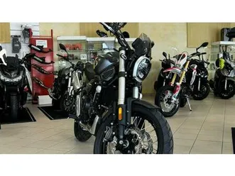 vendo voge trofeo 525acx scrambler (2023 - 26) nuova a isorella (codice 9733710) - moto.it