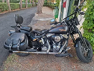 harley-davidson cross bones