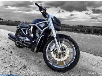 hayley davidson night rod