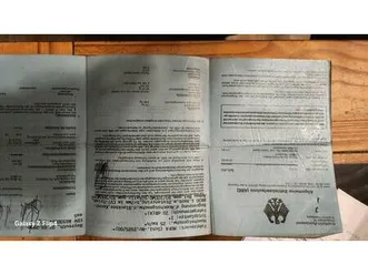 honda roller lead 50