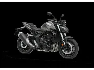 honda cb 1000 hornet*jetzt probefahren oder mieten*