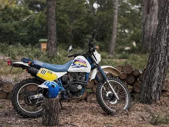 suzuki dr 125