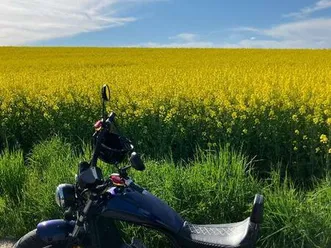 e-chopper 3000w 60v - top zustand nur 1300km