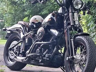 harley-davidson softail cross bones