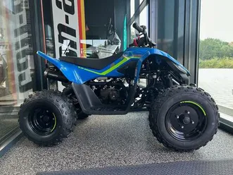 cfmoto cforce 110 kinderquad