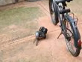 bianchi aquilotto smontato