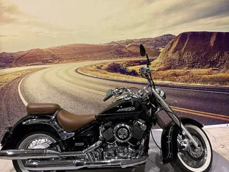 xvs 650 drag star (29kw)