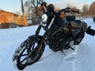 harley davidson iron 883 sportster lębork