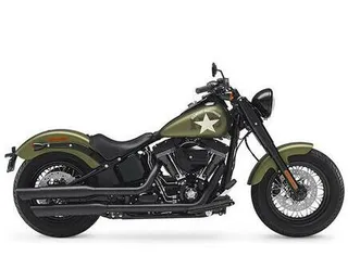 2016 harley-davidson flss - c017853