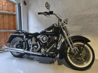 harley davidson springer evo softail fxsts