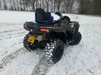 cf moto, cforce, 2023, 800 (cc)