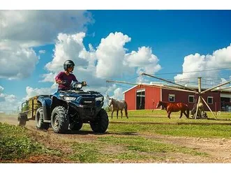 kawasaki brute force 450 t-cat