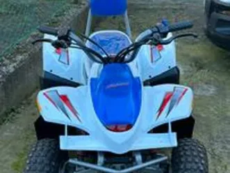 mini quad tiger shark