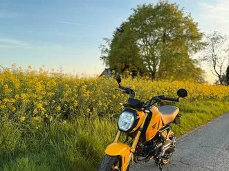 honda msx 125 grom - keine monkey camper wohnmobil