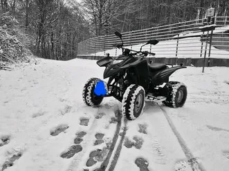 adly 300 vekauf tausch