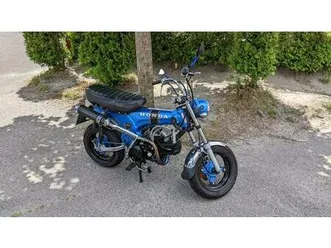 honda/skyteam dax 160 - motorumbau eingetragen 1p60fmk - selten!
