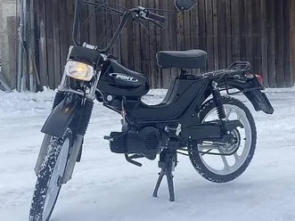 pony cross beta 521 canton berne -