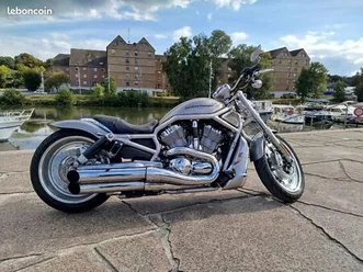 harley vrod