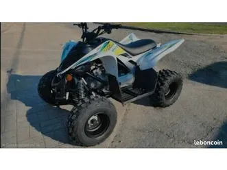 yamaha raptor 90