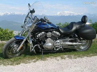 harley davidson vrod custom