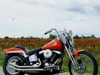 harley davidson softail springer