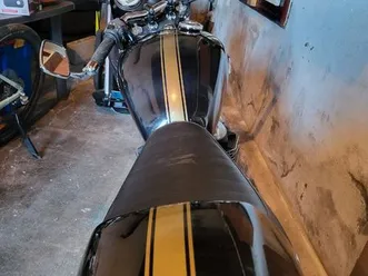 triumph thruxton neuve