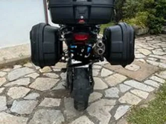 benelli trk 502x 2021