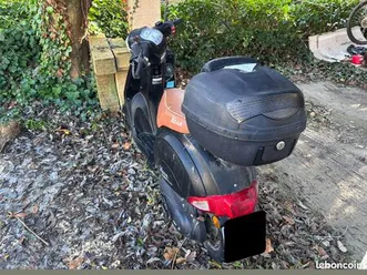 scooter neco lola 50c