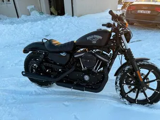 zu verkaufen harley-davidson sportster iron 883