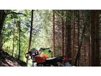 interceptor 650 (2019 - 20)