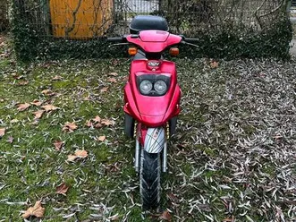 pgo big max 50 2 takt roller, mofa baugleich pegasus sky