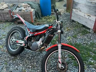 beta evo 300 straßenzulassung