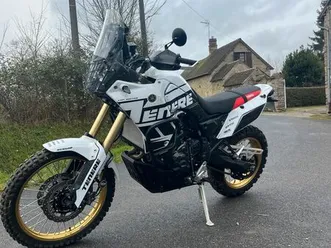 ténéré 700 rallye