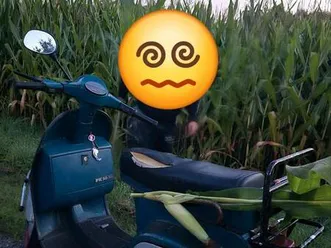 vespa pk50 xl b.j 1989