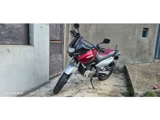 suzuki xf 650 freewind