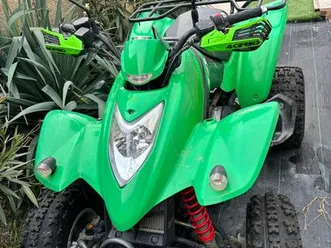 quad 250 kxr
