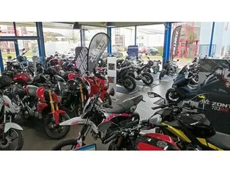 triumph america bobber/gepflegter umbau