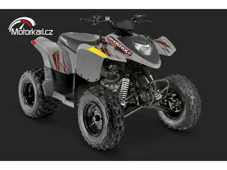 polaris polaris phoenix 200