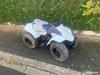 quad suzuki lt 80 2 temps