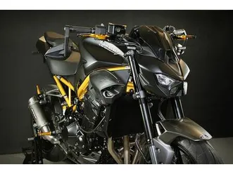 kawasaki z900 2026,,rsi-goldframe gun evo2,,35kw/48ps