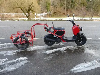 nps 50 zoomer (45km/h)