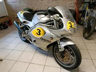 daytona 955