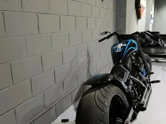 harley-davidson custom bike