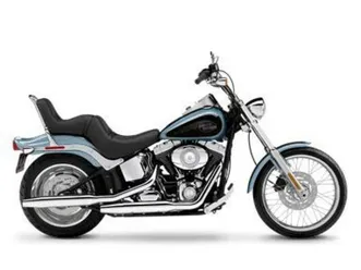 2007 softail® custom