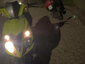 roller 50 ccm explorer race gut 50