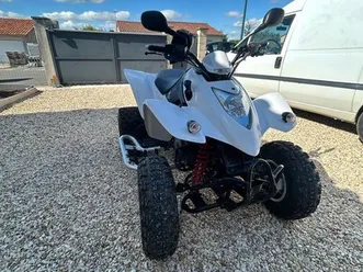 quad 250 maxxer