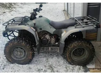quad yamaha bruin
