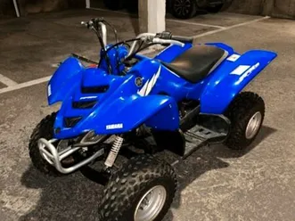 quad raptor yfm 50
