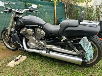 harley davidson vrod muscles